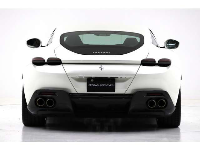 カーボンファイバーリアディフューザー￥1,078,000-