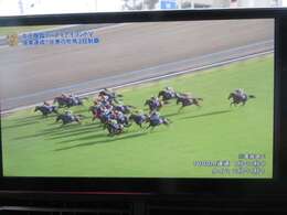 大型9インチモニター、美しい映像と見やすいマップお仕事便利で強い味方です。