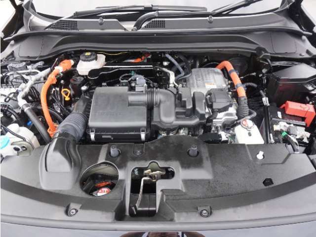 エンジンは車の心臓部分です。このエンジンルームが汚いとトラブルの基になります。当店は専用の液剤を使って徹底的に綺麗にします。