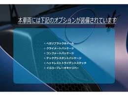 装着オプション