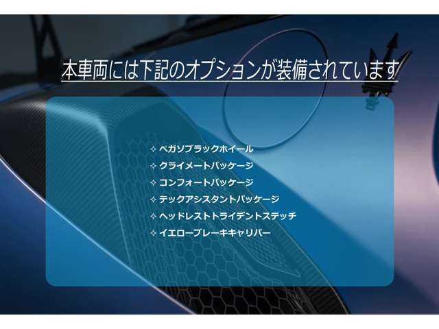 装着オプション