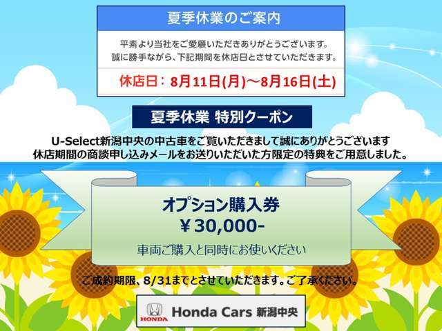 夏季限定クーポン配布中！ご購入時にお役立てください。