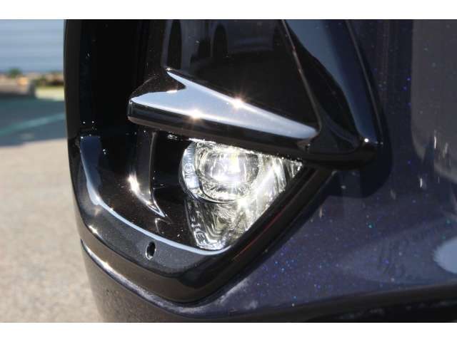 LEDフォグライトを装備。荒天の際の頼もしい補助灯です。