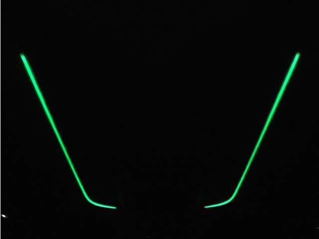 夜間に室内を照らしてくれるルームライトです