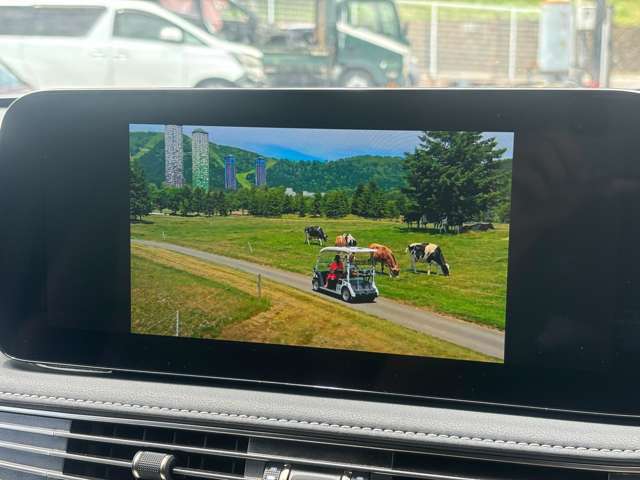 テレビ、ナビ、APPLE CAR PLAY をご利用いただけます！