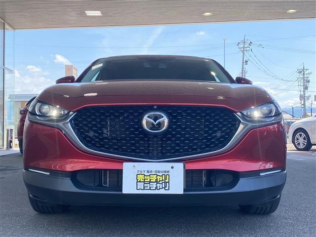 【カーセンサー】カーセン・カーセンサー・かーせん・かーせんさーのお車探しは当店にお任せください！北陸/福井/石川/岐阜/愛知/滋賀/坂井/越前/鯖江/敦賀/大野/小浜/あわら/勝山/丹生郡越前町/