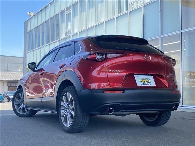 【カーセンサー】カーセン・カーセンサー・かーせん・かーせんさーのお車探しは当店にお任せください！北陸/福井/石川/岐阜/愛知/滋賀/坂井/越前/鯖江/敦賀/大野/小浜/あわら/勝山/丹生郡越前町/