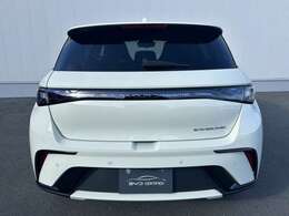 特徴的なリアスタイル