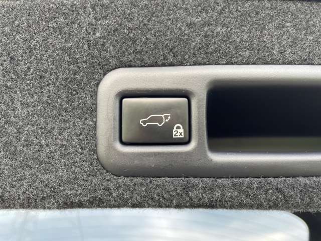 電動リアゲートになります。ボタン1つで開閉が可能です。