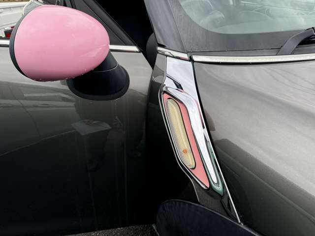 デザイン性だけでなく、ドライバーの巻き込み防止など安全運転をサポート致します！周囲からの視認性にも優れていて安心です！