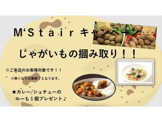 11月は【ジャガイモつかみどりキャンペーン】を開催しております！カレーかシチューのルーもプレゼントいたします！是非店頭までお越しください！