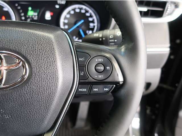 ステアリングスイッチ付き。前方から目を離すことなく操作することが可能です。