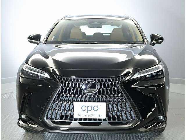 三眼フルLEDヘッドランプ