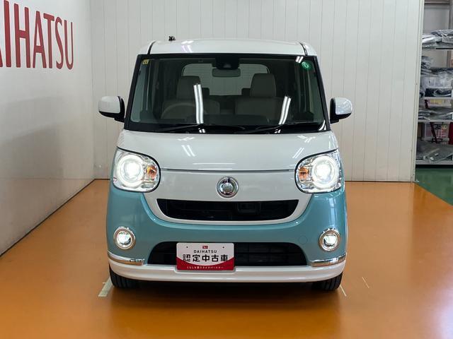 かわいらしいフロントマスク