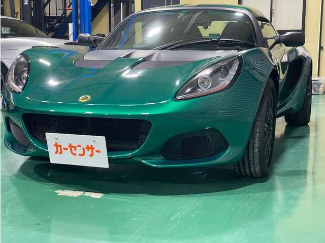 大人の落ち着いた激渋ロータスグリーン