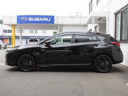 スピード感と軽快さを感じさせるボディライン