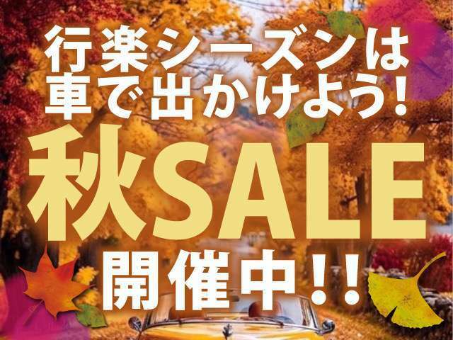 ☆自社分割☆　一般ローン通らない方必見　頭金不要　最大36回払い可能　自社ローン　保証人不要　全国対応可能　※仮審査が必要となります。詳しくはオーシャンデザイン審査部025-378-0163まで