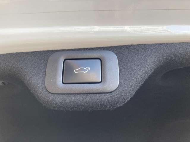 メーカーオプションのハンズフリーパワーバックドアです！鍵を持ったまま、足をくぐらせると自動で開きます♪