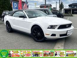 当社の諸費用は登録時の税金・登録諸費用が含まれております。また、点検整備費用も車両価格に含まれておりますので、総額表示価格だけで乗り出せます。詳しくはスタッフまでお問い合わせください。