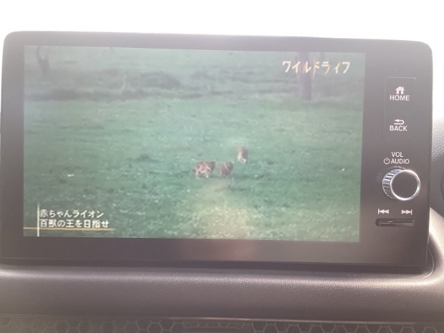 TV付きの車となっております。送迎時の待ち時間などとてもお役に立ちます。