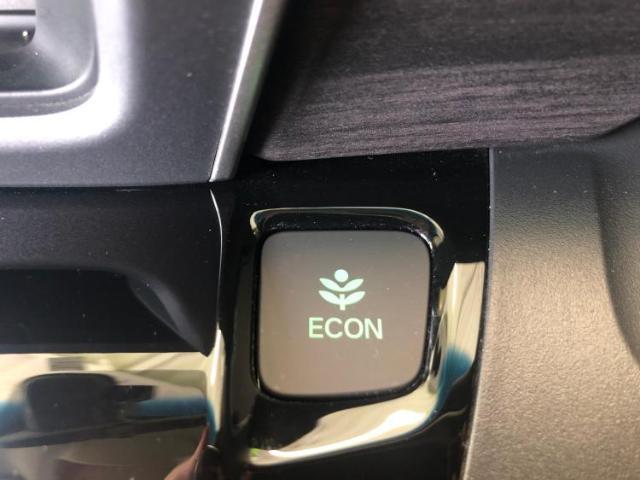 ご購入後の車検やメンテナンスもWECARSにお任せください！自社で整備から修理まで行っておりますので、ご納車後のアフターフォローもお任せください！