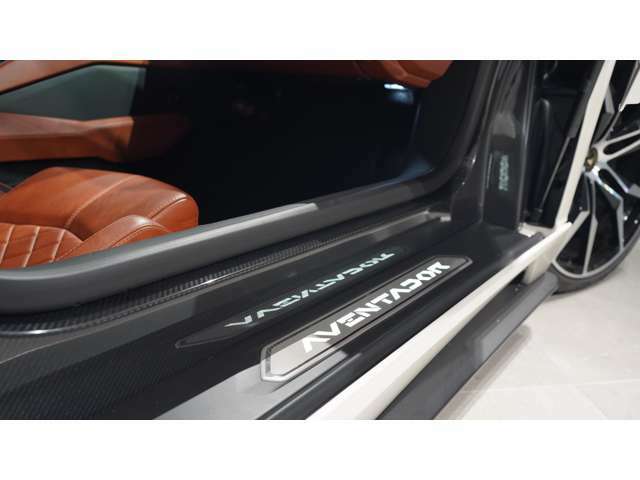 シザードアを開けるとカーテシ部分に、AVENTADORのロゴが配置されており、車内側には、インナーハンドルが配置されております。