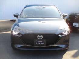 マシーングレープレミアムメタリック！