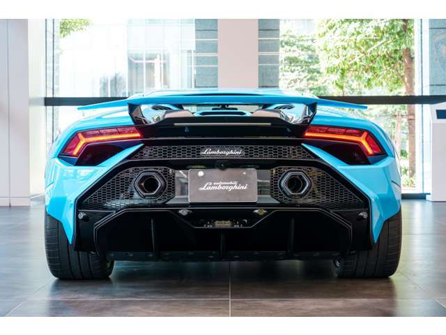 Tailpipes in matt black