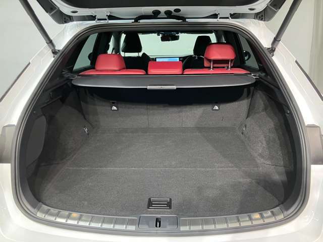 レクサス車らしい細部までこだわった高級感と見る人を一目で虜にするエモーショナルな魅力を持ち合わせております。