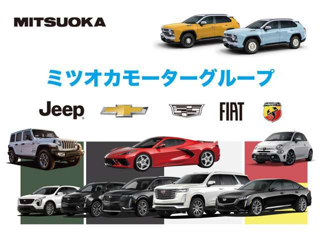 光岡自動車グループは自社製品に加え、正規輸入車ディーラー《アウディ、アバルト、キャデラック、シボレー、ジープ、フィアット、アバルト、フォルクスワーゲン、マセラティ、ランボルギーニ》を全国に展開。