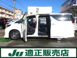 便利な両側パワースライドドア付きにパワーバックドアを装備！！