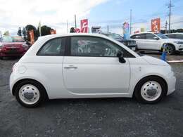 ホワイト500いかがですか