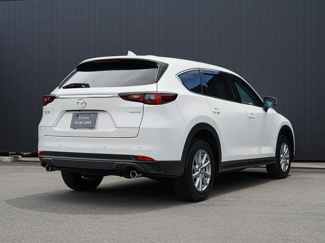 北米仕様の3列シートSUV「CX-9」を日本国内向けにリサイズすることで、重量に負けない強靭なボディの多人数SUVが誕生しました。