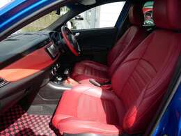 カーボン調仕上げフロントグリル、ドアミラーハウジング、サイドスカート