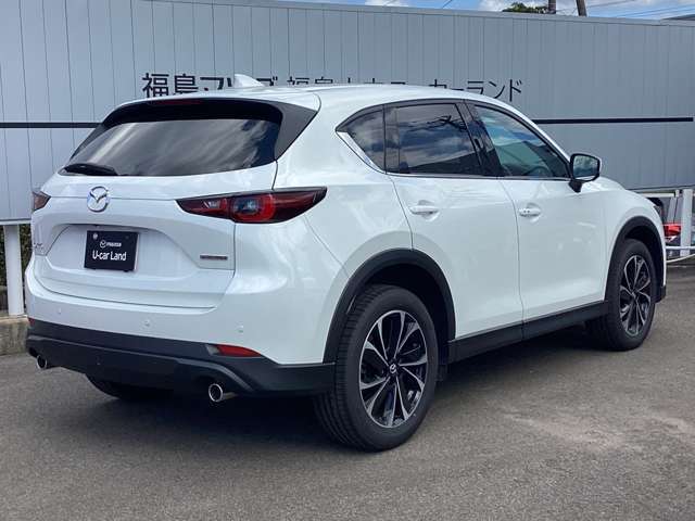 【見つめるたび、美しい表情に惹きつけられます。マツダ・CX-5】