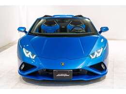 フィルム施工済みFront Full Cover Set,Side Mirror,Door,Rocker Panel