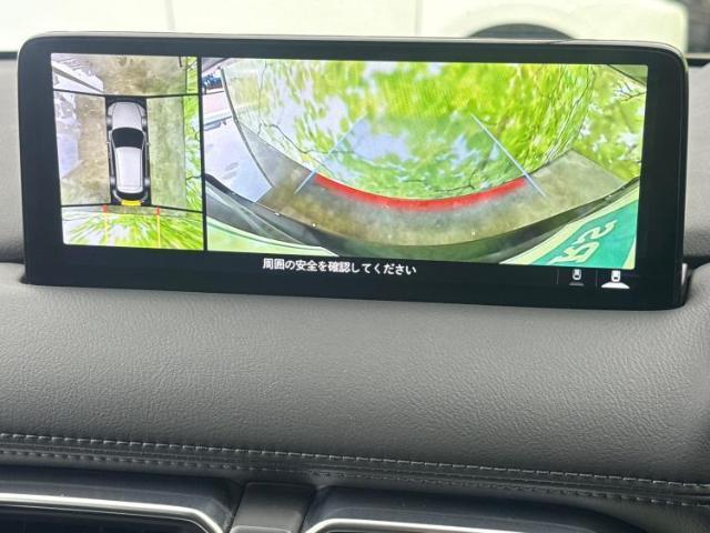 WECARSの展示場では実際に見て、触ってお車をお選びいただけます！知識の豊富な営業スタッフが様々なカーライフをご提案いたします！