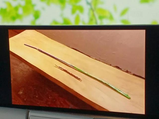 ご購入後の車検やメンテナンスもWECARSにお任せください！自社で整備から修理まで行っておりますので、ご納車後のアフターフォローもお任せください！