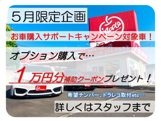 5月限定！おトクなキャンペーン実施中！！