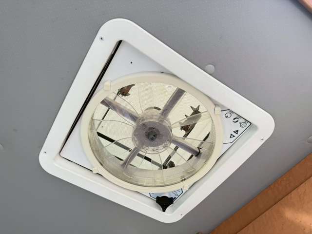 マックスファン