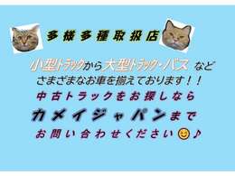 当社では特殊な車輌を多く取り扱いしておりますため、メールでの回答では説明が難しく、ご期待にそったお返事ができない場合もございます。車輌の詳細なご質問はお電話にてお問合せいただけますと幸いです。