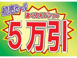 ！期間限定　1月末日まで！ ☆☆初売りセール実施中！！オプション5万引きセール実施中☆☆細かな条件・必須オプション無し！追加オプションより価格調整！！この機会を是非お見逃しなく((^^)