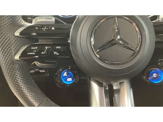 メルセデス・ベンツはドイツ本国シュツットガルト近郊でのメルセデス自車が関わった重大事故を、40年以上に亘って調査しています。エアバッグやシートベルトテンショナーは、この調査の結果生み出されました。