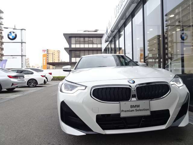 BMWの代名詞の【キドニーグリル】グリルが腎臓のように見えるので【キドニー】と呼ばれるようになりました。一目見ただけでBMWであると認識できる確固たるアイコンとして存在感を放ちます。