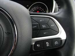 【追従型クルーズコントロール】光学レーダーやビデオカメラを使って前車の動きをチェックして、車間距離を適切に保って一定のスピードをキープするシステム。代表例）アイサイト・レーダークルーズコントロール