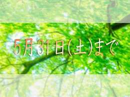 2025年4月10日(木)～5月31日(土)までの期間、ワイダボでは決算SALEと銘打って、新たなカーライフのスタートを全力で応援いたします！是非この機会にワイダボまでお問合せください♪