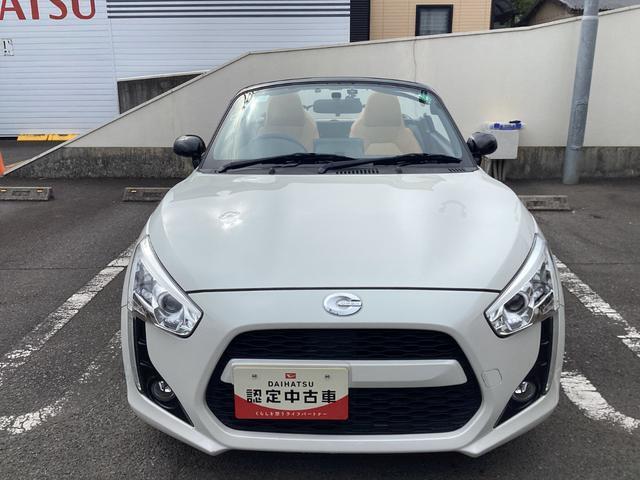 前からの画像です