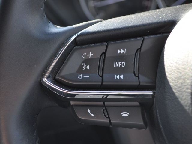 ステアリングには運転中でもオーディオ操作が手元でできるオーディオリモートコントロールスイッチを装備。ボリューム、チャンネルの切り替え、電話の受発信、燃費などの車両情報の切替が使用できます。