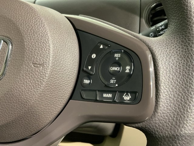 クルーズコントロールを装備しています。高速道路などで一定の速度で走ってくれるので運転が楽ですよ！速度を設定できますので、スピードの出しすぎにも注意できます。