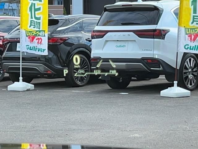 お車を左後ろから見るとこのような感じになります。テールランプやドアバイザー等装備品を確認できます。